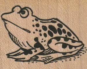 Frog Looking Up 2 x 1 1/4-0