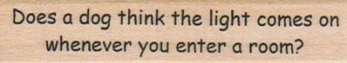 Does A Dog Think The Light 3/4 x 3