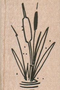 CatTails/Sm 1 1/2 x 2 1/4-0