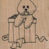 Bichon In Gift Box 3 x 3 1/4-0