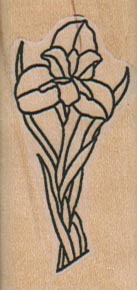 Irises/Small 1 x 2