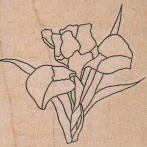 Flower Bunch/Sm 2 3/4 x 2 1/2-0