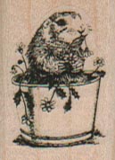 GoundHog In Pot/Sm 1 x 1 1/4