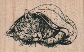 Kitten And Mouse In Blanket/Sm 2 x 1 1/4