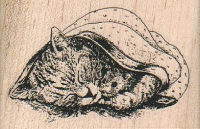 Kitten & Mouse In Blanket/Lg 2 3/4 x 1 3/4