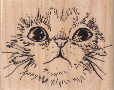 Cat Face/Large 3 x 2 1/4