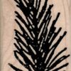 Pine Branch 1 3/4 x 3 1/4-0