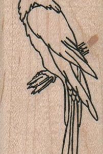 Parrot 1 1/2 x 3 1/4-0