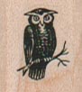 Owl On Branch 3/4 x 3/4