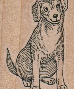 Dog Smiling And Looking Up 1 3/4 x 2 1/2-0