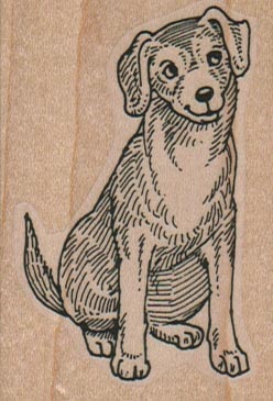Dog Smiling And Looking Up 1 3/4 x 2 1/2