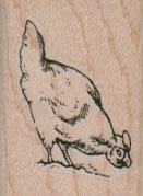 Chicken Eating 1 x 1 1/4