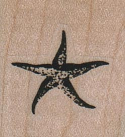Starfish 1 x 1