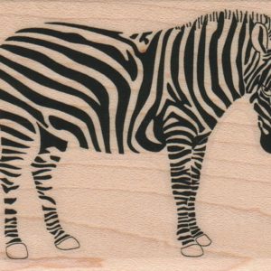 Zebra 2 1/2 x 3 1/4-0