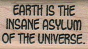 Earth Is The Insane Asylum 3/4 x 1 1/4