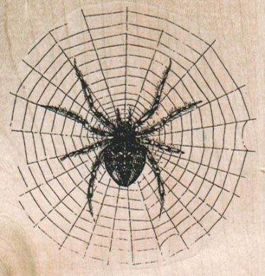 Spider On Web 3 x 3