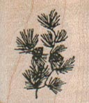 Pine Branch 1 x 1