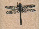Dragonfly 1 x 3/4