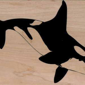 Orca/Large 4 1/2 X 6-0