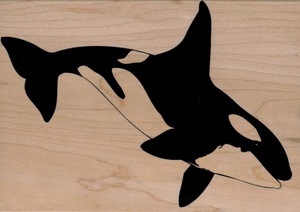 Orca/Large 4 1/2 X 6-0