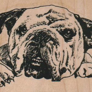 BullDog Head 3 3/4 x 2 3/4-0