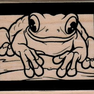 Framed Frog 1 1/2 x 2-0
