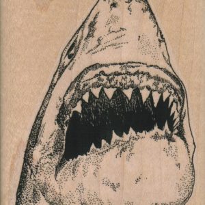 Shark Head/Large 2 3/4 x 3 3/4-0