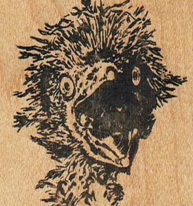 Birdhead 2 x 2 1/2-0