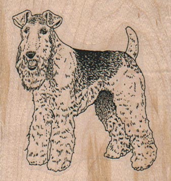 Wire Haired Fox Terrier 2 1/2 x 2 1/2