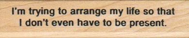 I’m Trying To Arrange My Life 3/4 x 3 1/4