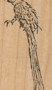 Parrot Facing Left 1 1/4 x 2 3/4-0