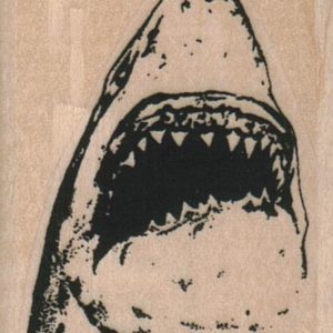 Shark Head/Small 1 1/2 x 2-0