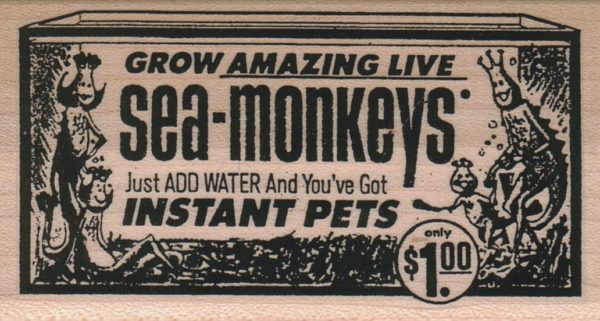 Sea-Monkeys 2 x 3 1/2-0