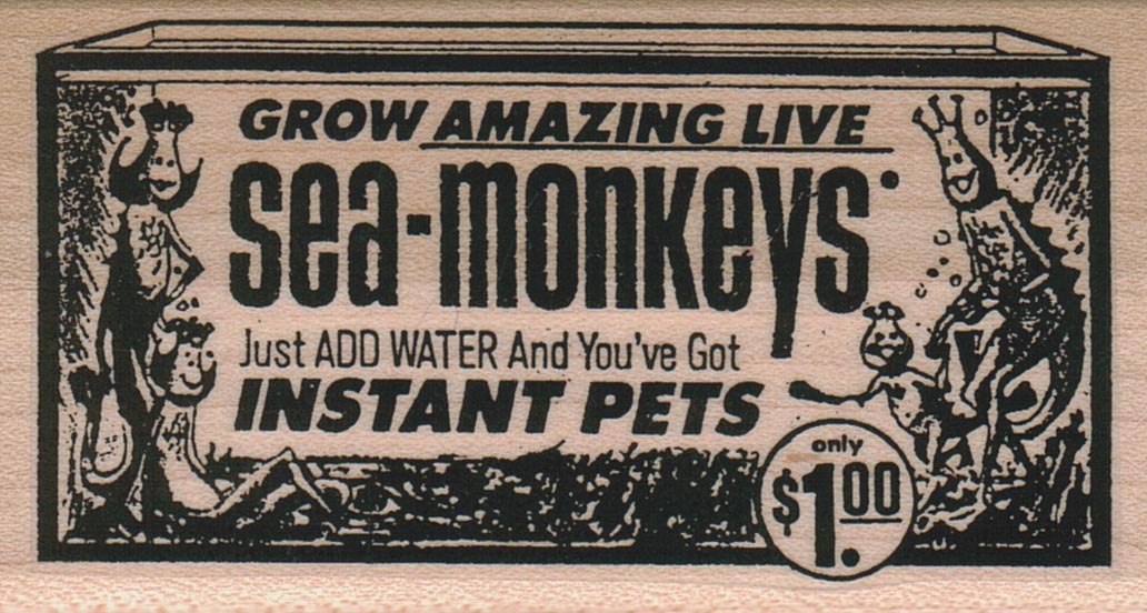Sea-Monkeys 2 x 3 1/2