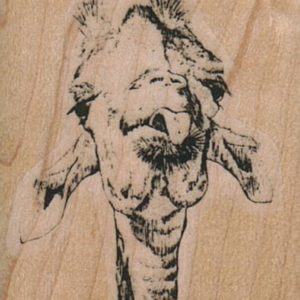 Giraffe Tongue/Small 1 1/2 x 1 3/4-0
