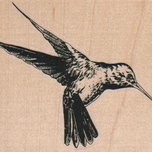 Hummingbird 3 x 2 1/2-0