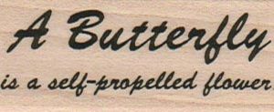 A ButterFly Is A Self 1 x 2 1/4-0