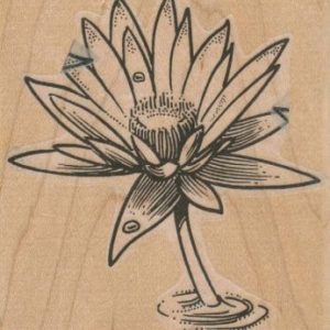 WaterLily 3 x 3 1/4-0