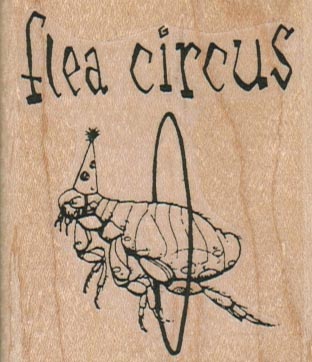 Flea Circus 2 1/4 x 2 1/2