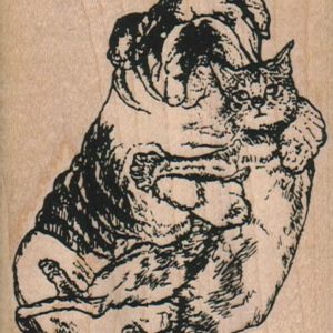 Bulldog and Cat Pals 2 3/4 x 3 1/2-0