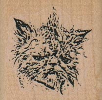 Wet Cat/Small 1 1/2 x 1 1/2