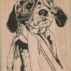 Aviator Beagle Dog 2 x 2 1/2-0