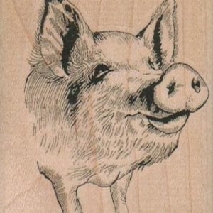 PigFace 2 1/4 x 2 3/4-0