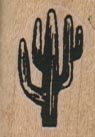 Saquero Cactus 3/4 x 1