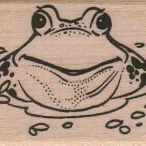 Frog In Water 1 1/2 x 2 1/4-0