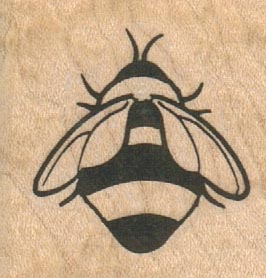 Bee Back 1 1/2 x 1 1/4-0
