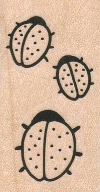 LadyBugs 1 1/4 x 2