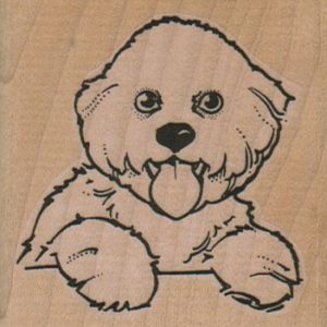 Panting Bichon 2 1/2 x 2 1/2-0