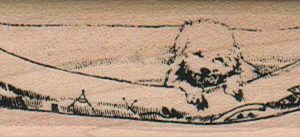 Bichon In Canoe 1 x 3 1/4-0