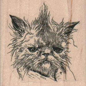 Grumpy Cat 2 1/4 x 2 1/4-0